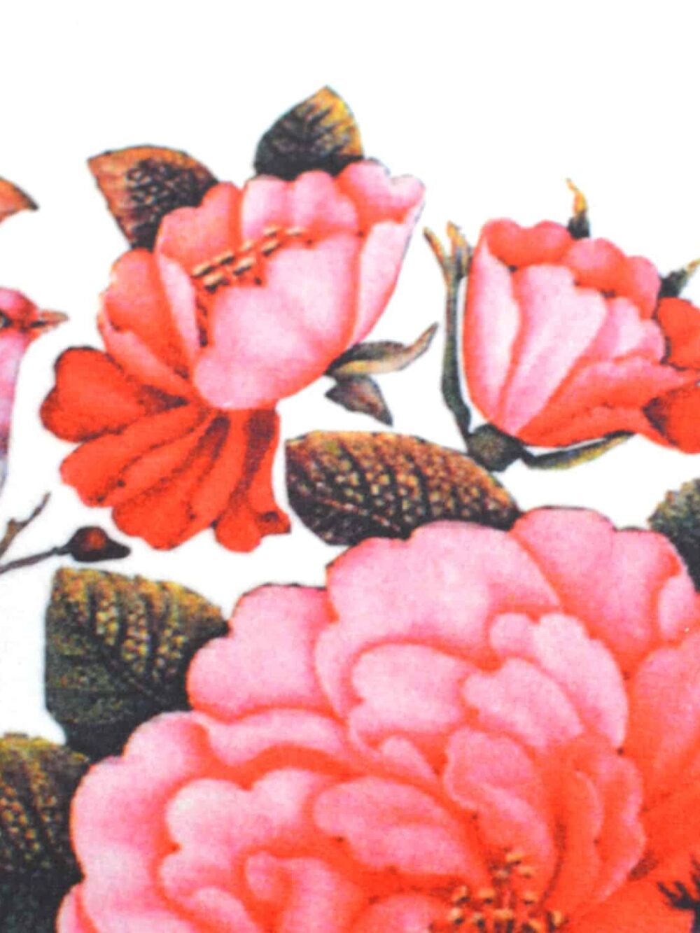 Persian Garden Cushion Cover