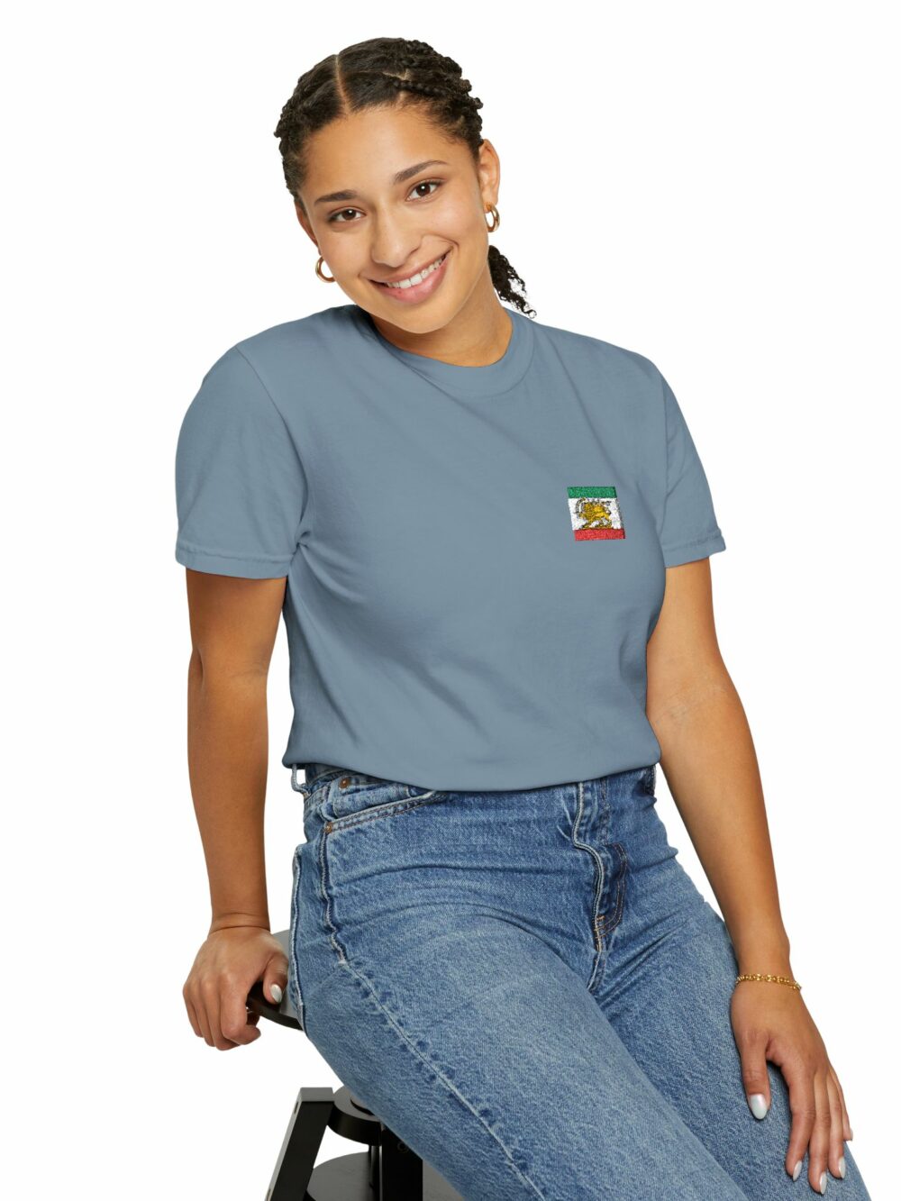Persian Lion & Sun Flag T-Shirt