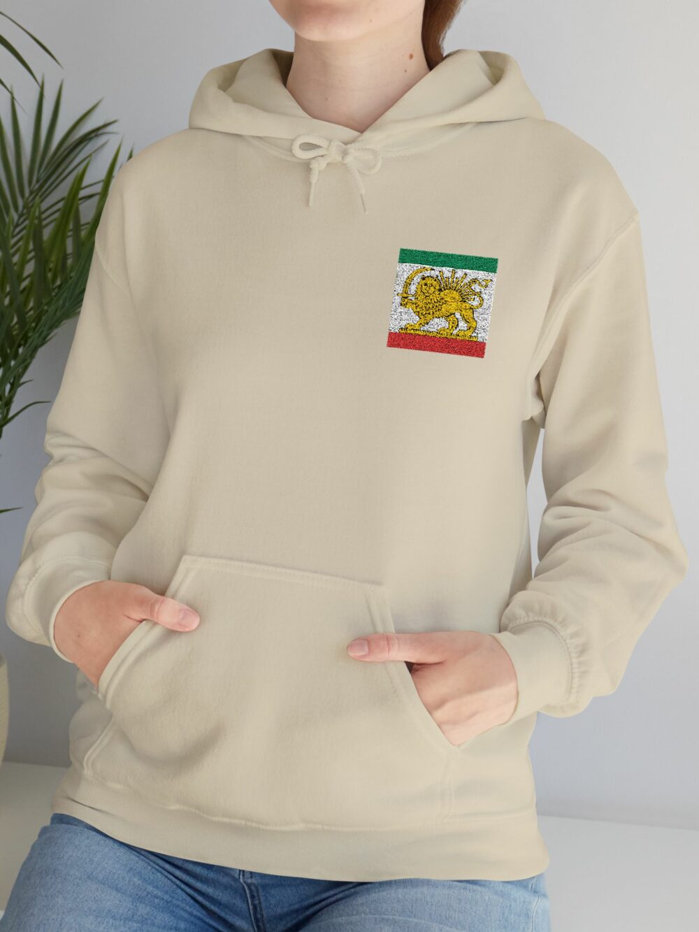 Iran Lion & Sun Hoodie — Persian Heritage Flag Design