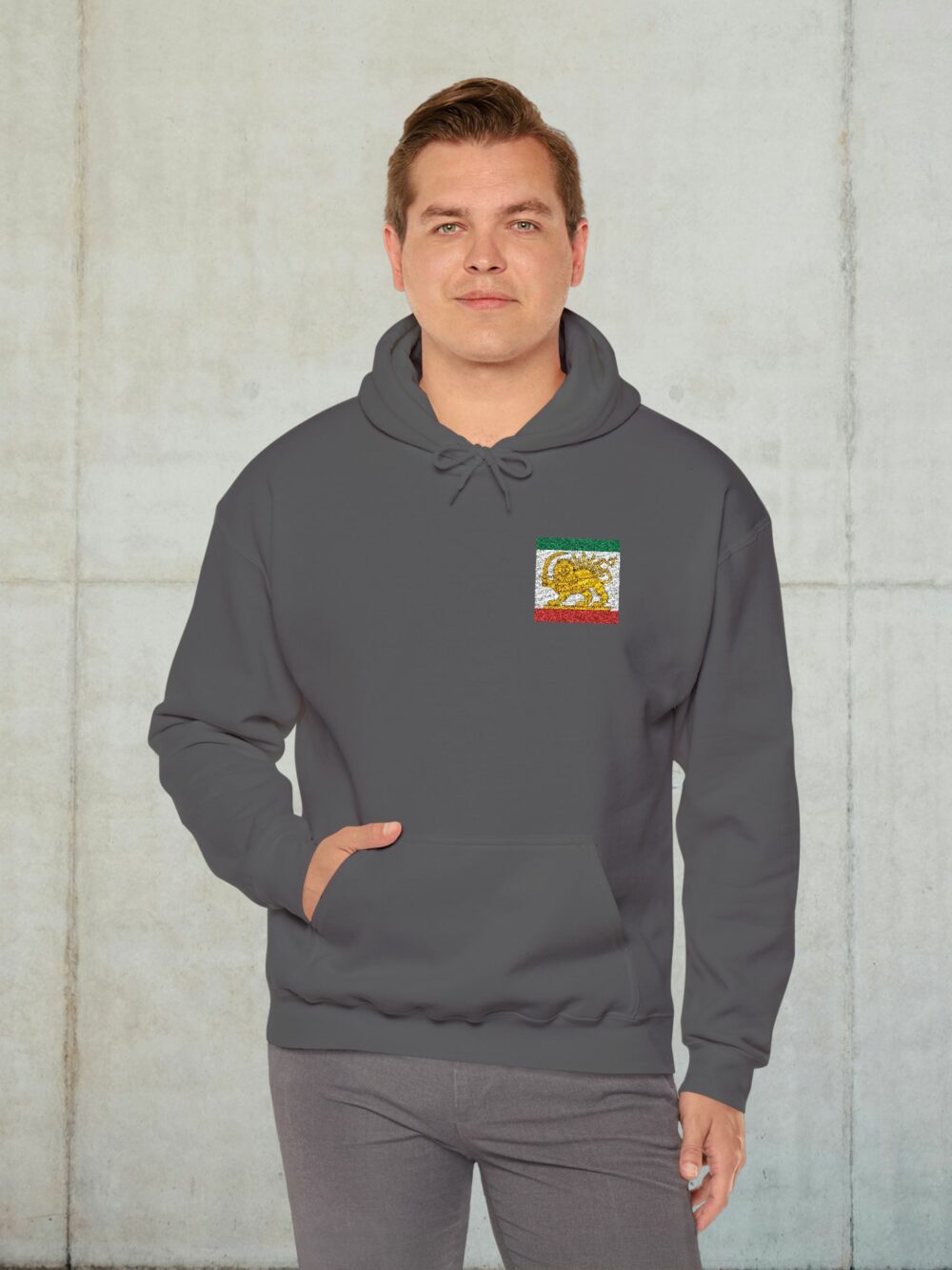Iran Lion & Sun Hoodie — Persian Heritage Flag Design