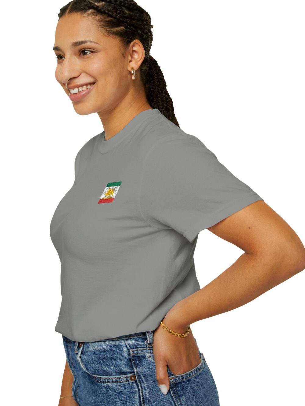 Persian Lion & Sun Flag T-Shirt