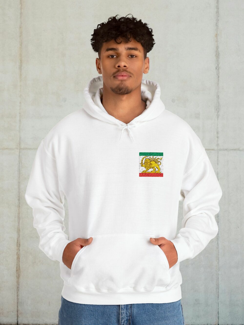 Iran Lion & Sun Hoodie — Persian Heritage Flag Design