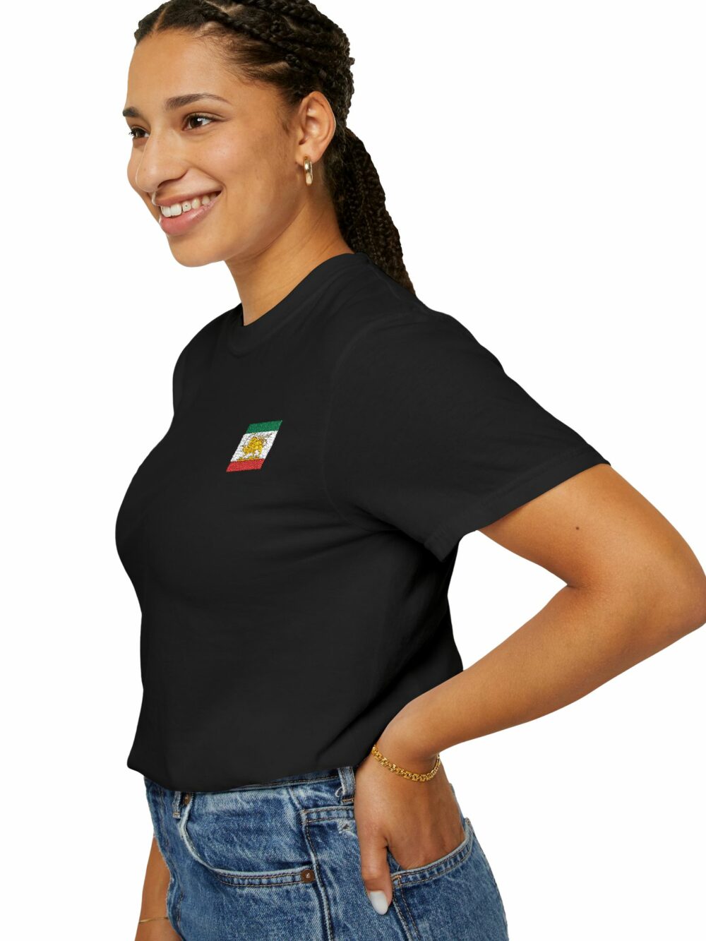Persian Lion & Sun Flag T-Shirt